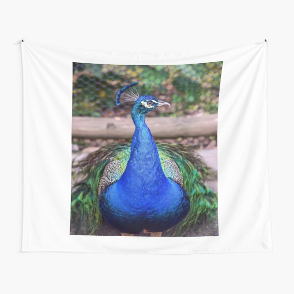 Peacock - Printed Tapestry