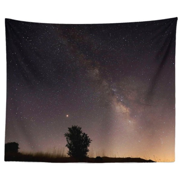 Star Sky - Printed Tapestry